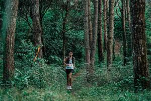 BIB: 
                            <button type="button" onclick="openModal(25235965)" class="btn btn-primary btn-sm float-right btn-popup" data-toggle="modal" data-target=".modal-high-quality">
                        <i class="fas fa-shopping-cart"></i> Add to Cart
                    </button>
                                            <button type="button" onclick="isThisMe(25235965, true)" class="btn btn-success btn-sm float-right btn-popup btn-isme hidden" data-toggle="tooltip" data-placement="bottom" title="นี่คือรูปของคุณใช่ไหม คลิกที่นี่เพื่อเอาเข้าอัลบั้ม">
                        <i class="fas fa-plus"></i> Add to album
                    </button>
                    <button type="button" onclick="isThisMe(25235965, false)" class="btn btn-warning btn-sm float-right btn-popup btn-isnotme hidden">
                        <i class="fas fa-ban"></i> Remove from album
                    </button>